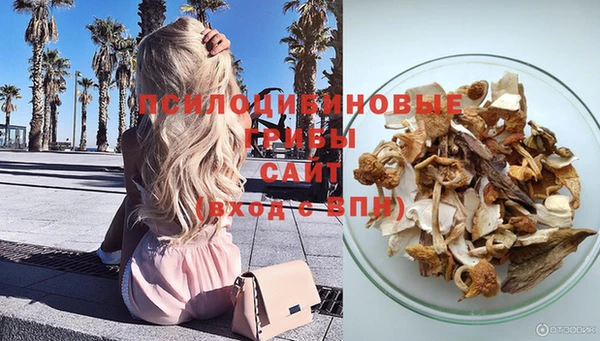 круглые Алексеевка