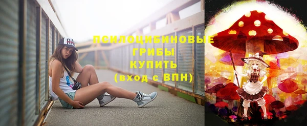 круглые Алексеевка