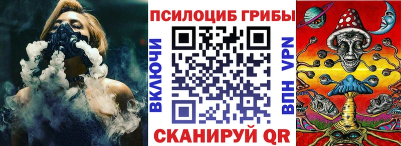 мега зеркало  Дмитриев  Псилоцибиновые грибы Psilocybe 